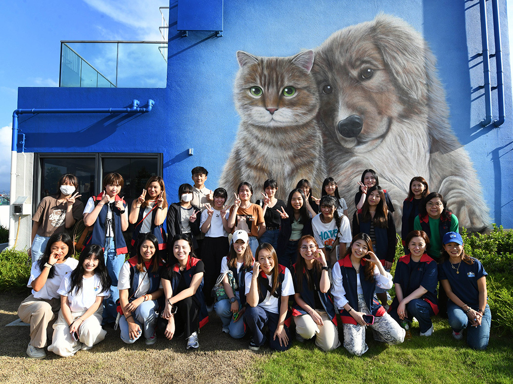 Sing Tao Collaborates with DSE Students to Serve the Community and Advocate for Loving Adoption